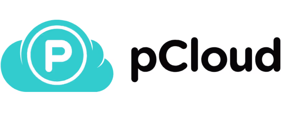 pCloud Business Backup
